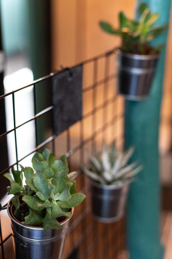 Appartement Marée Haute - Refresh In A Full Center - Netflix - Wifi - *